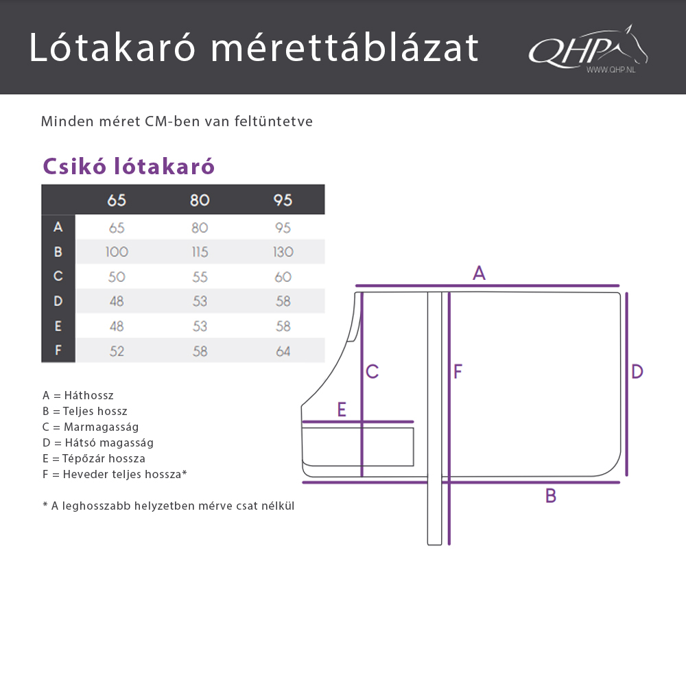 QHP csikó lótakaró