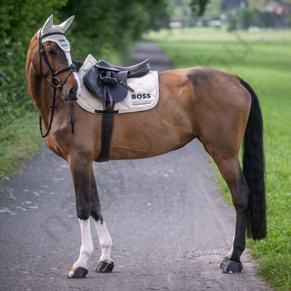 Boss Cheltenham Jumping nyeregalátét pumice