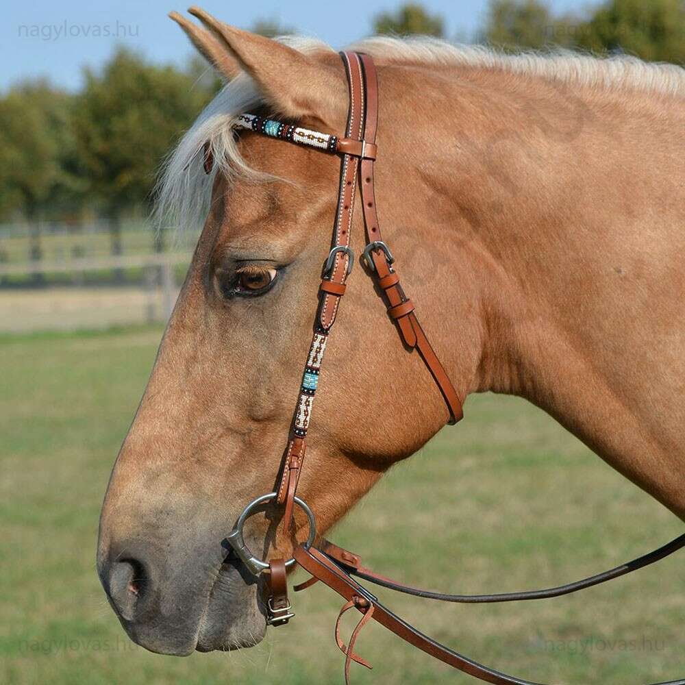 Busse Dakota western kantár