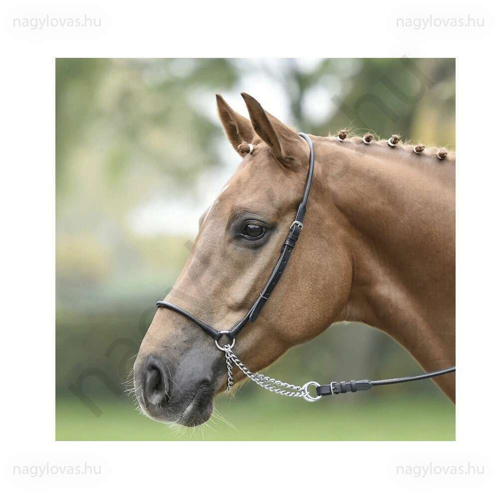 Busse láncos felvezető kantár fekete