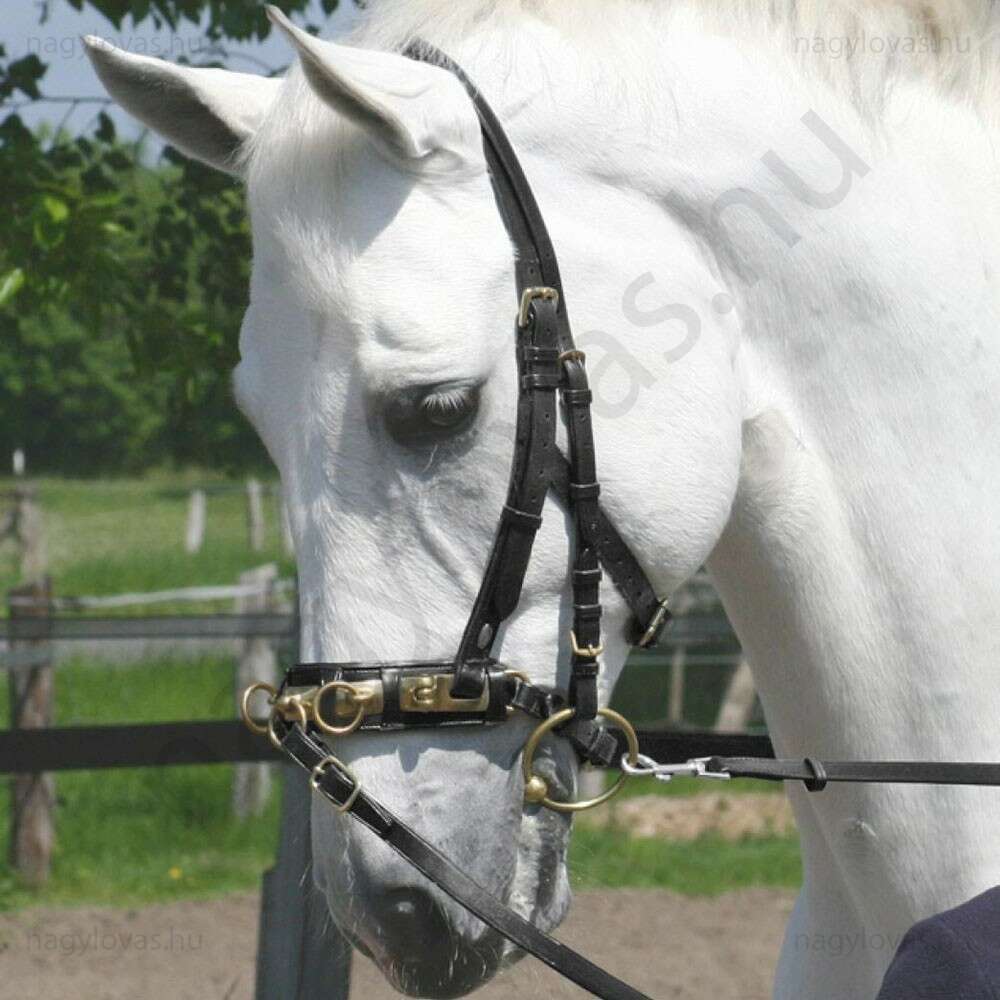 Busse Professional bőr kapicán fekete