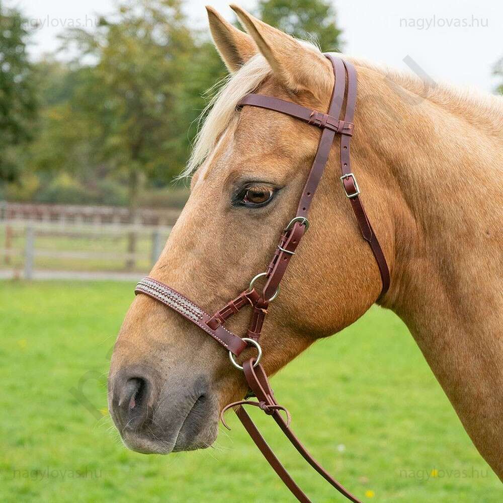 Busse Russet western sidepull kantár