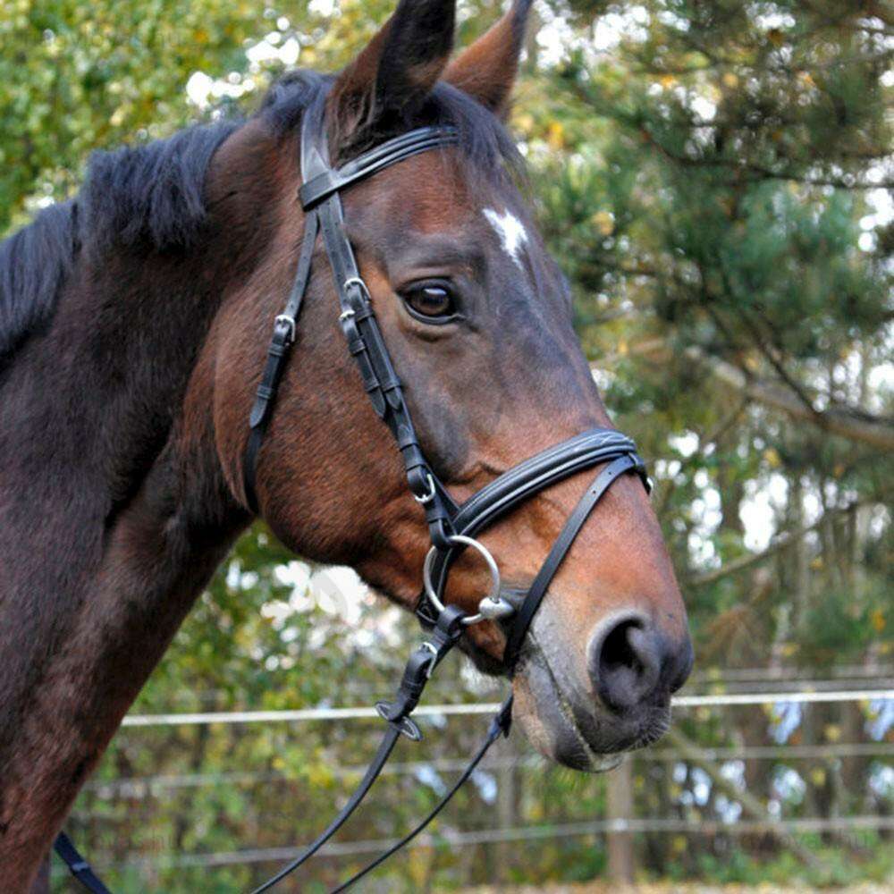 Covalliero Classic kantár fekete