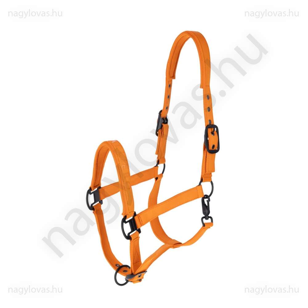 Covalliero kötőfék  H/W2026 orange