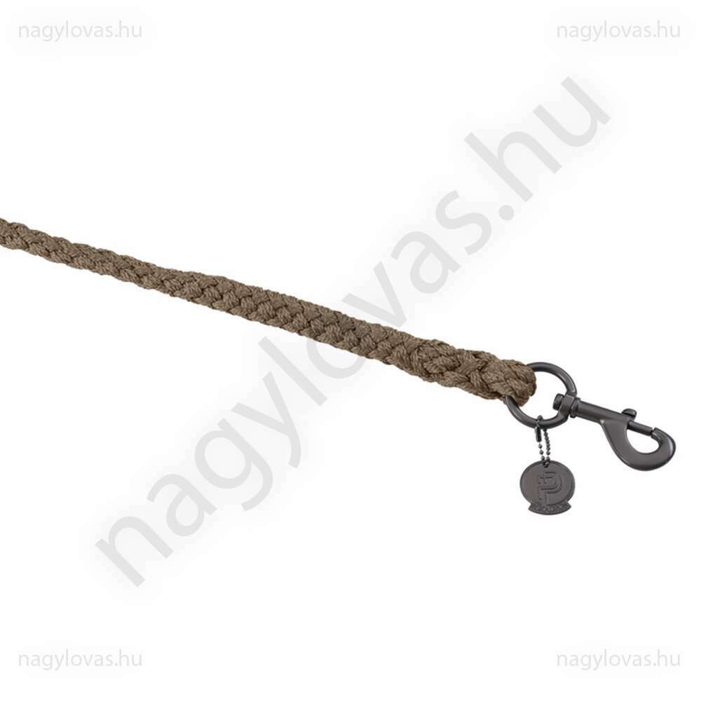 Eskadron vezetőszár