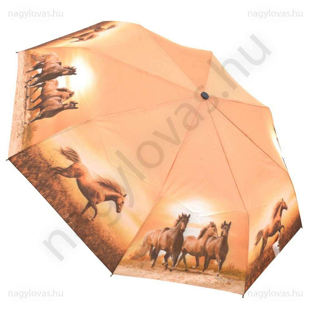 Feelin Rain lovas esernyő