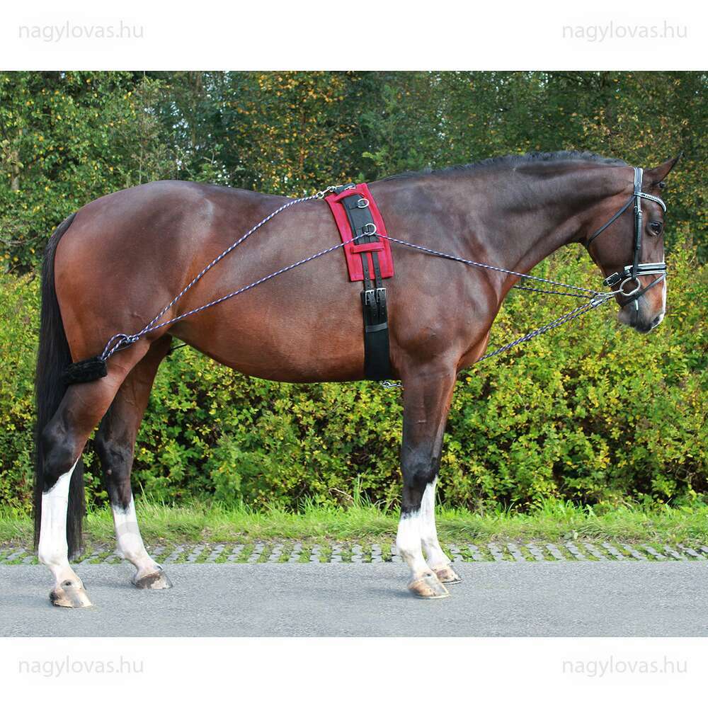 Futószárazó Training System