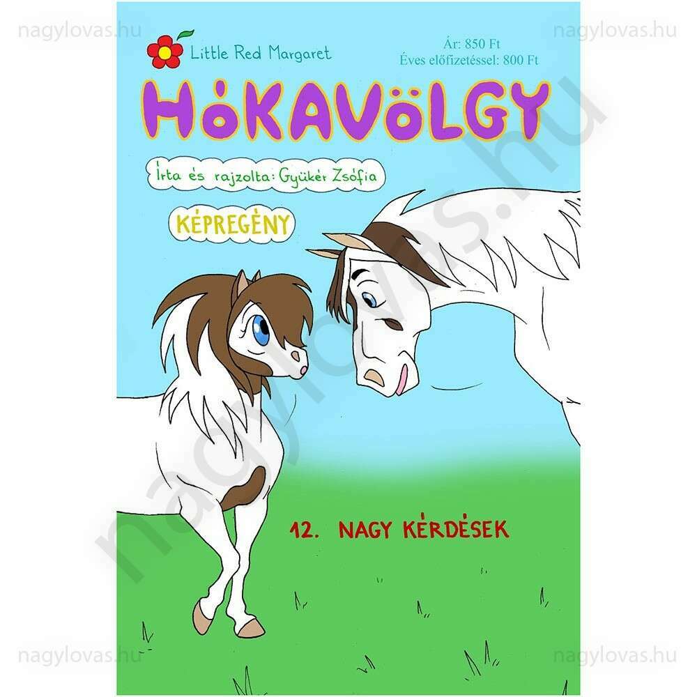 Hókavölgy 12.Nagy kérdések