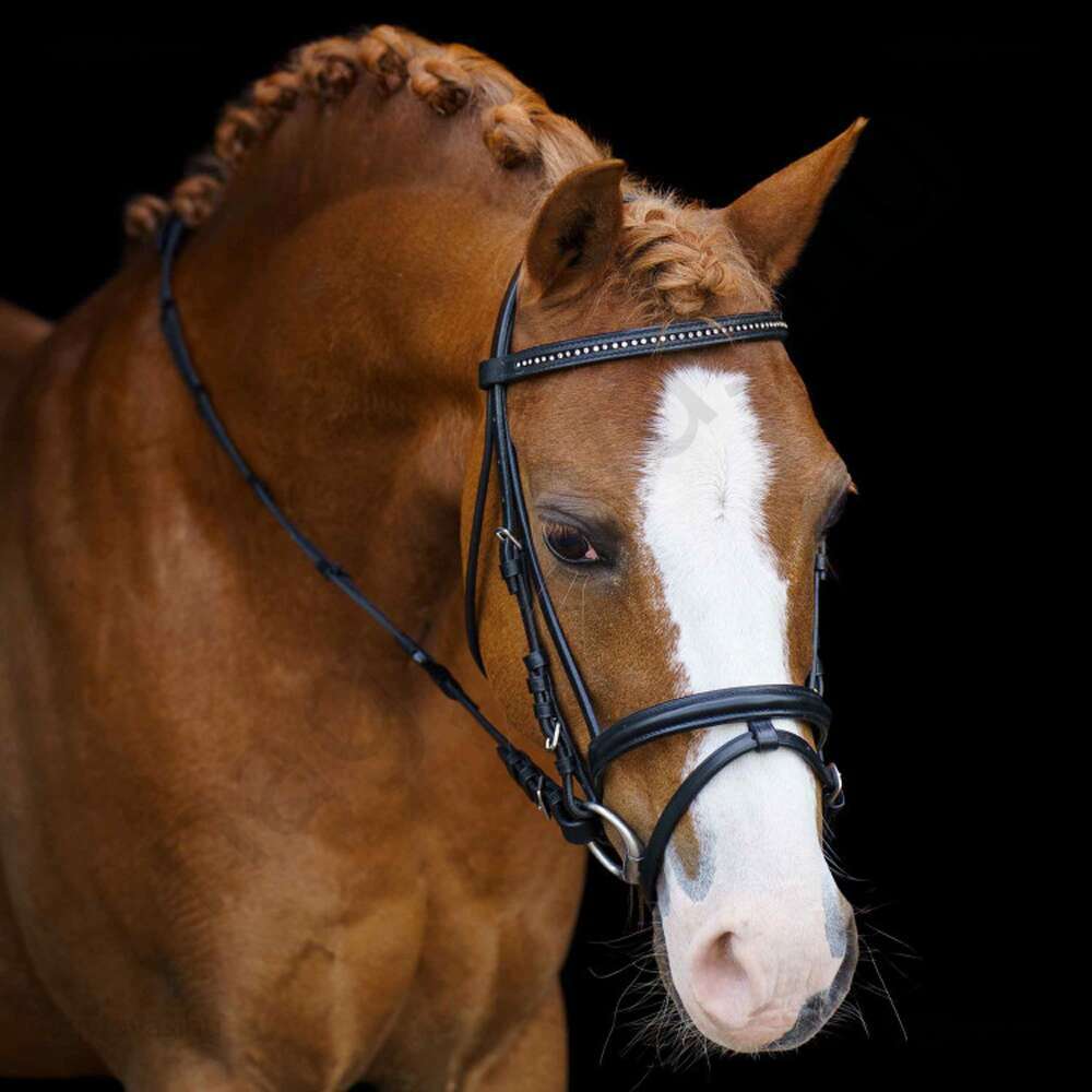 Imperial Riding strasszos lovaglókantár szárral