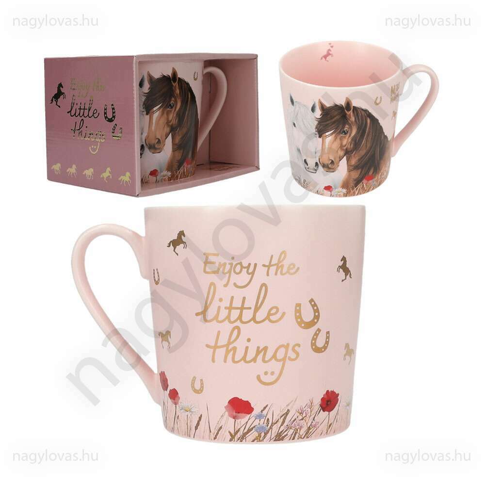 Miss Melody lovasbögre 