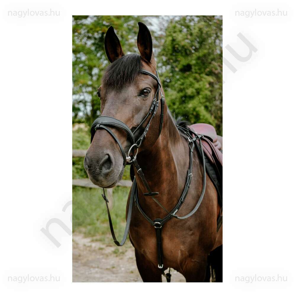 Norton műanyag kantár szárral barna