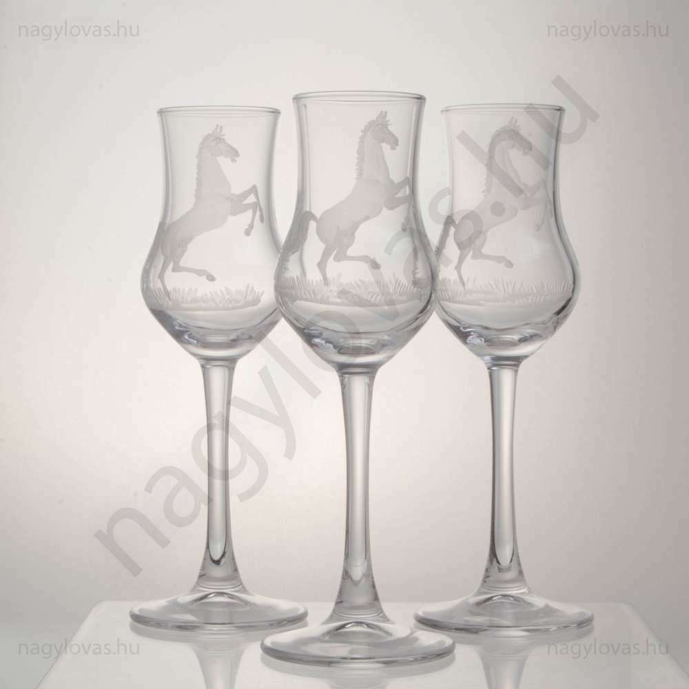 Pálinkás csiszolt pohár 6db/szett