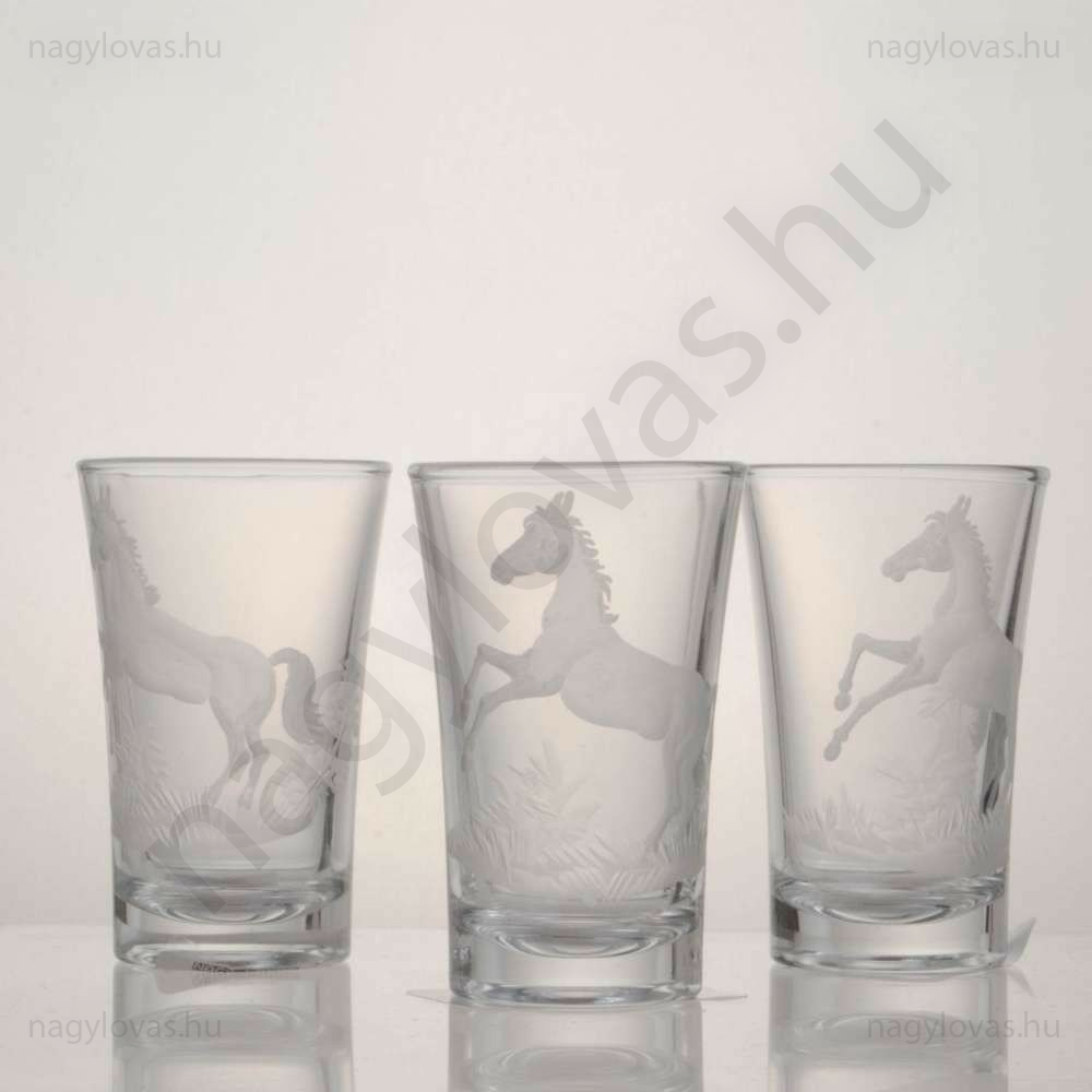 Pálinkás csiszolt pohár 6db/szett 4,5cl