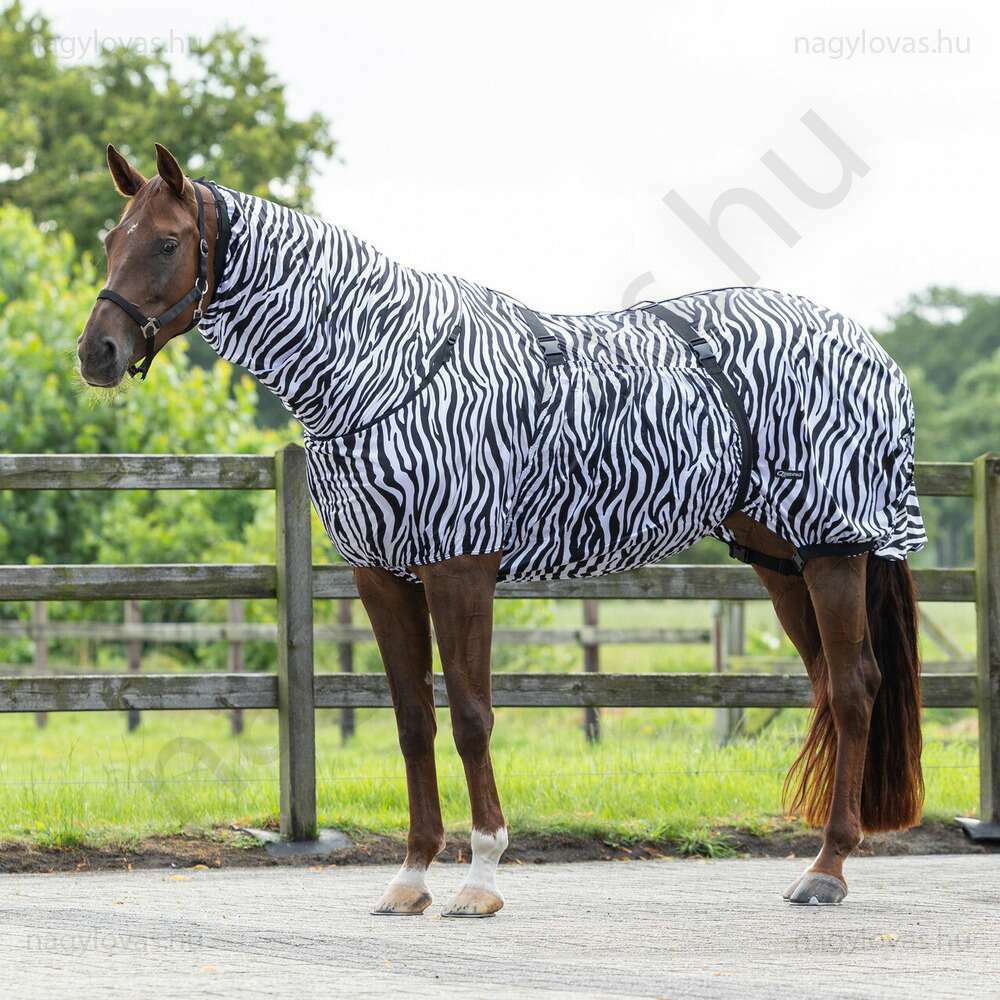 QHP Ekcéma lótakaró zebra  145 cm