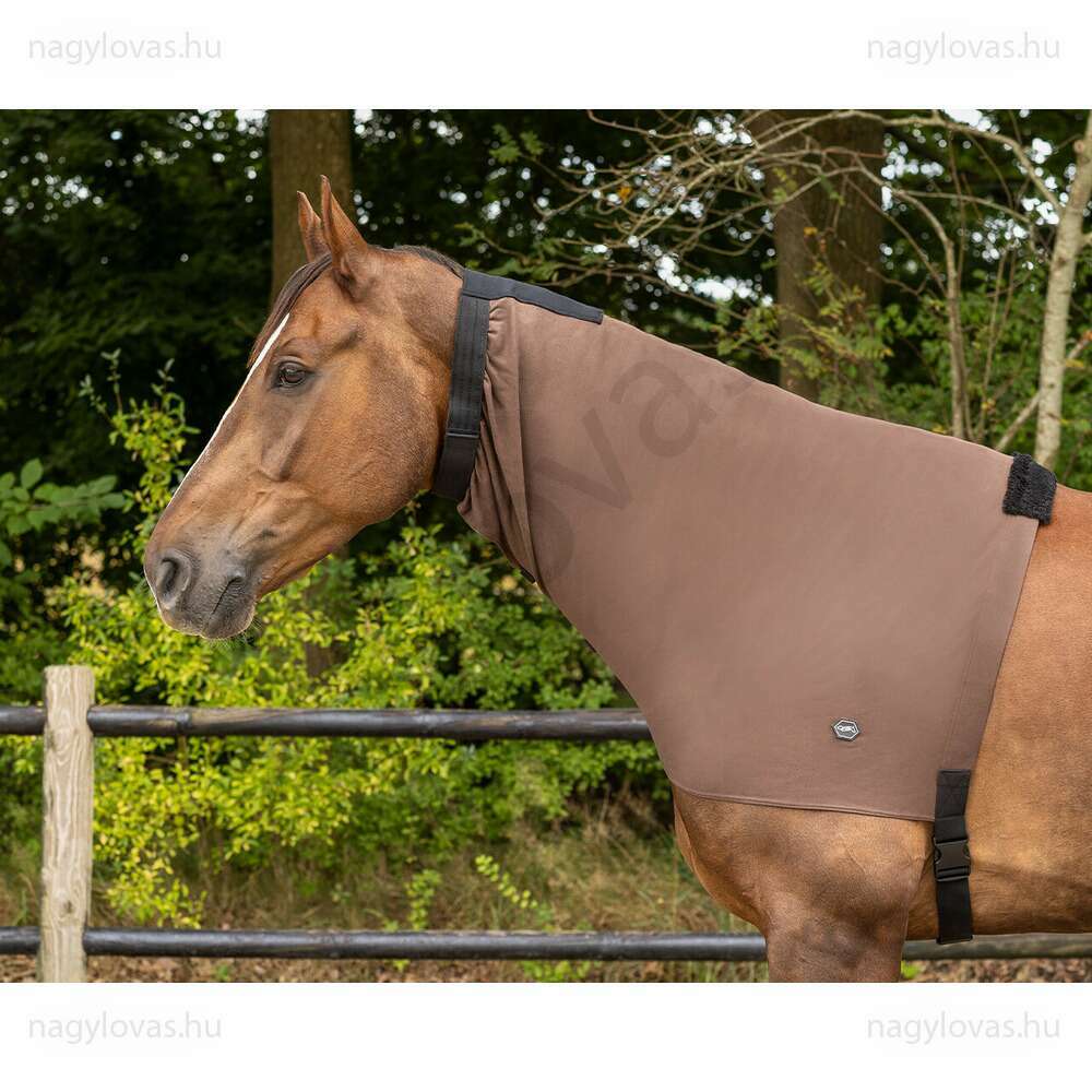 QHP Ekcéma nyakvédő  barna M