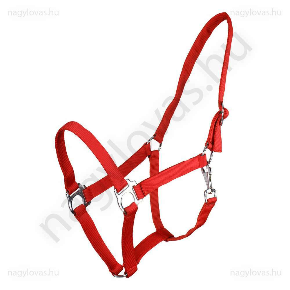 QHP gurtnis kötőfék piros XFull