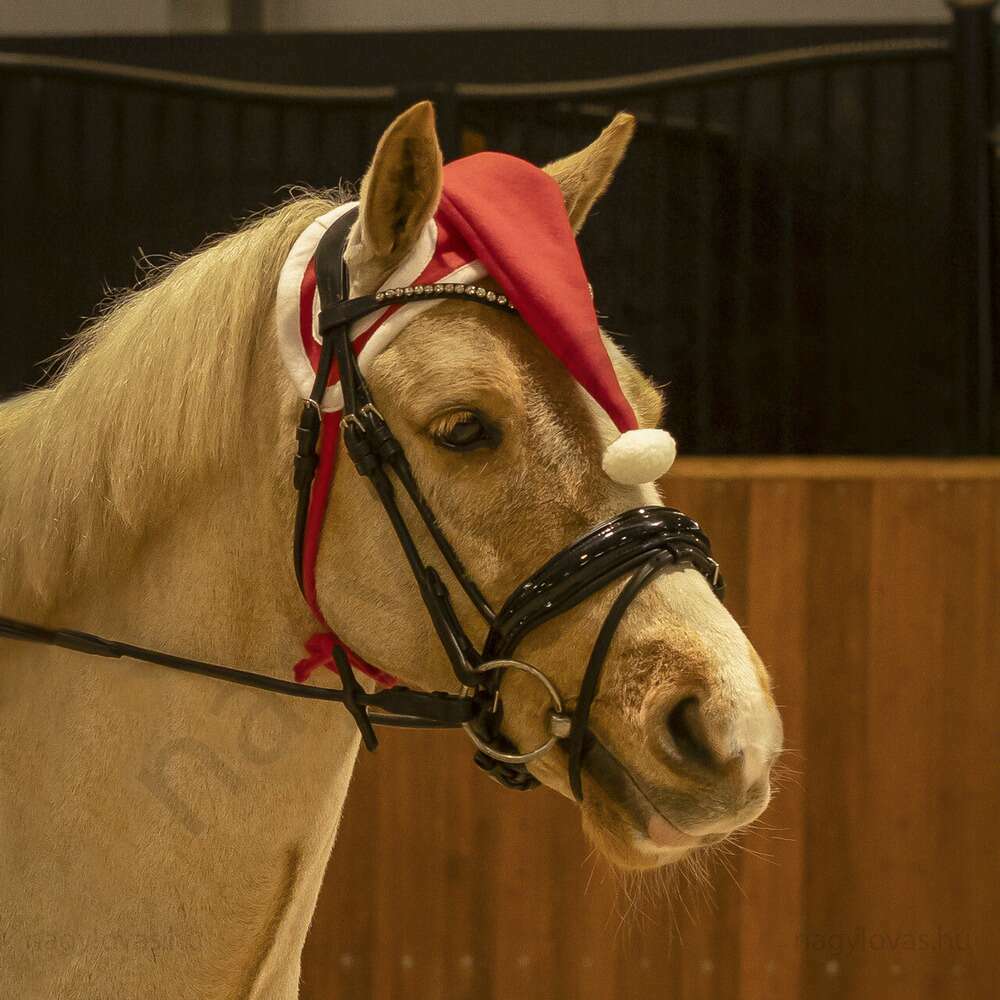 QHP Karácsonyi sapka lovaknak piros póni