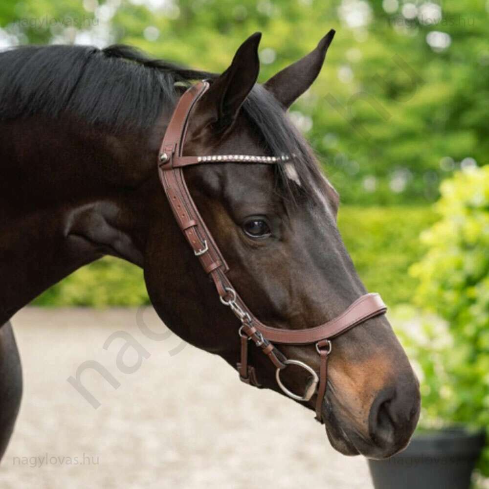 QHP ShineBright homlokszíj barna /fehér XFull