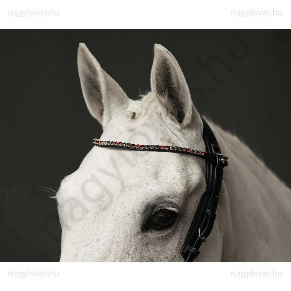 QHP ShineBright  homlokszíj fekete/burgundi XFull