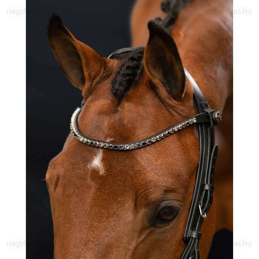 QHP Shinebright homlokszíj fekete/fekete Cob