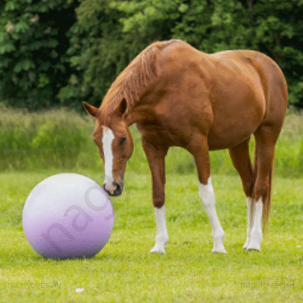 QHPjátéklabda lónak 75cm