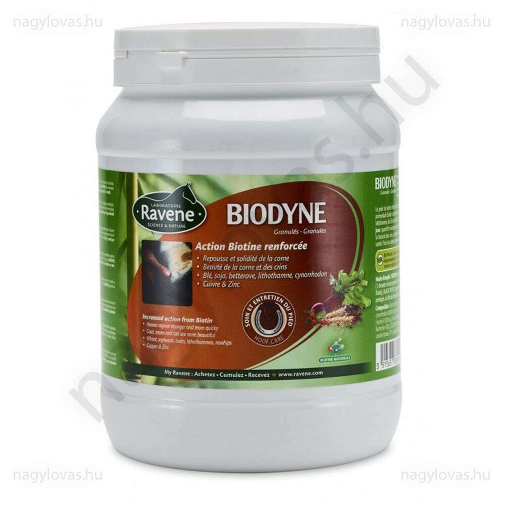 Ravene Biodyne biotin 1kg