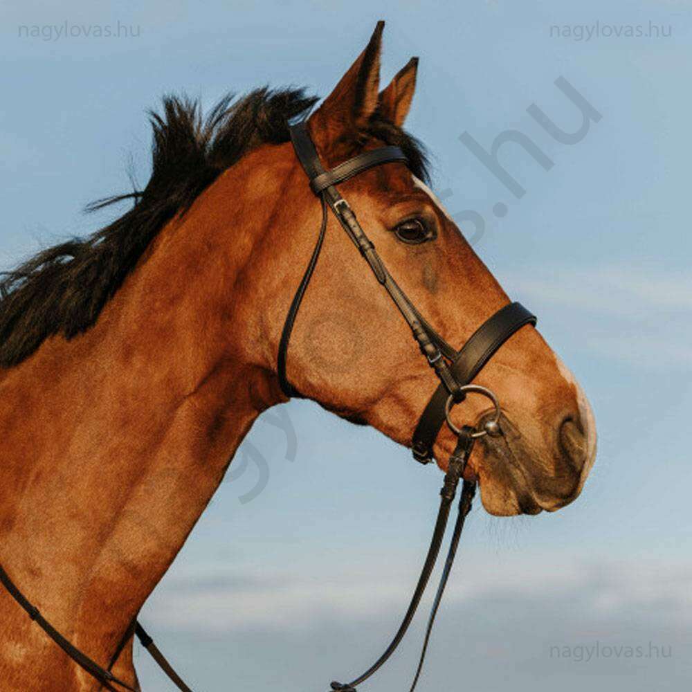 Riding World kantár széles orrszíjjal fekete