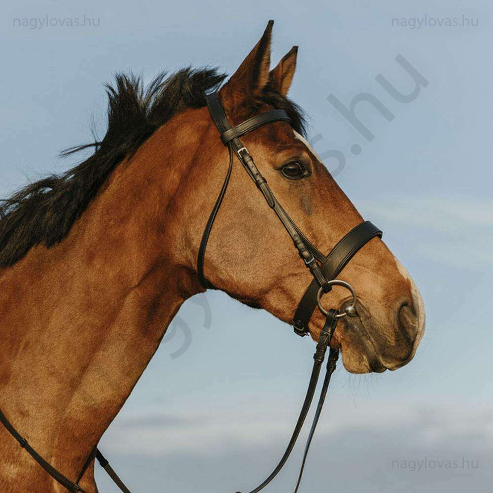 Riding World kantár széles orrszíjjal fekete