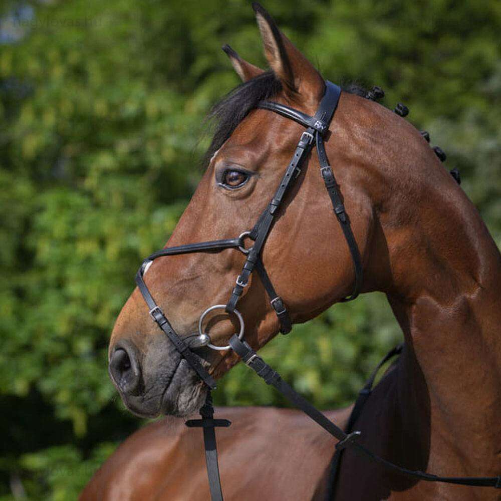 Riding World mexikói orrfékes kantár fekete