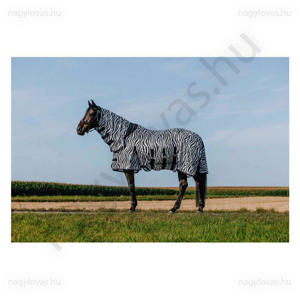 Riiding World Zebramintás légytakaró nyakkal