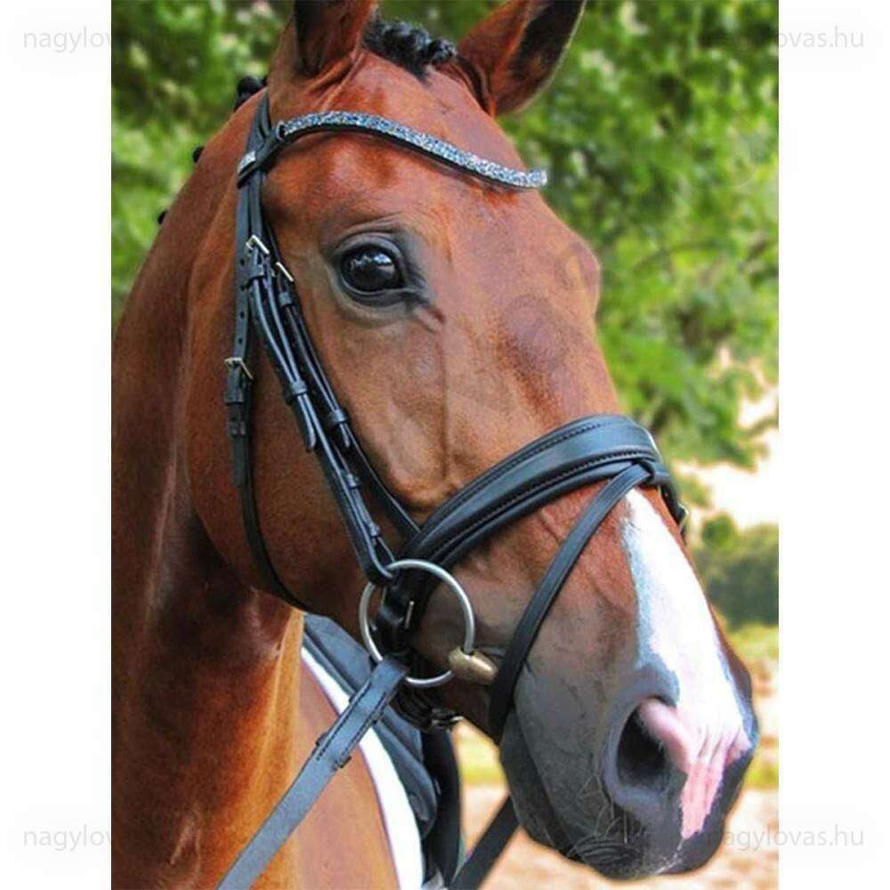 Stübben Magic Tack kantár