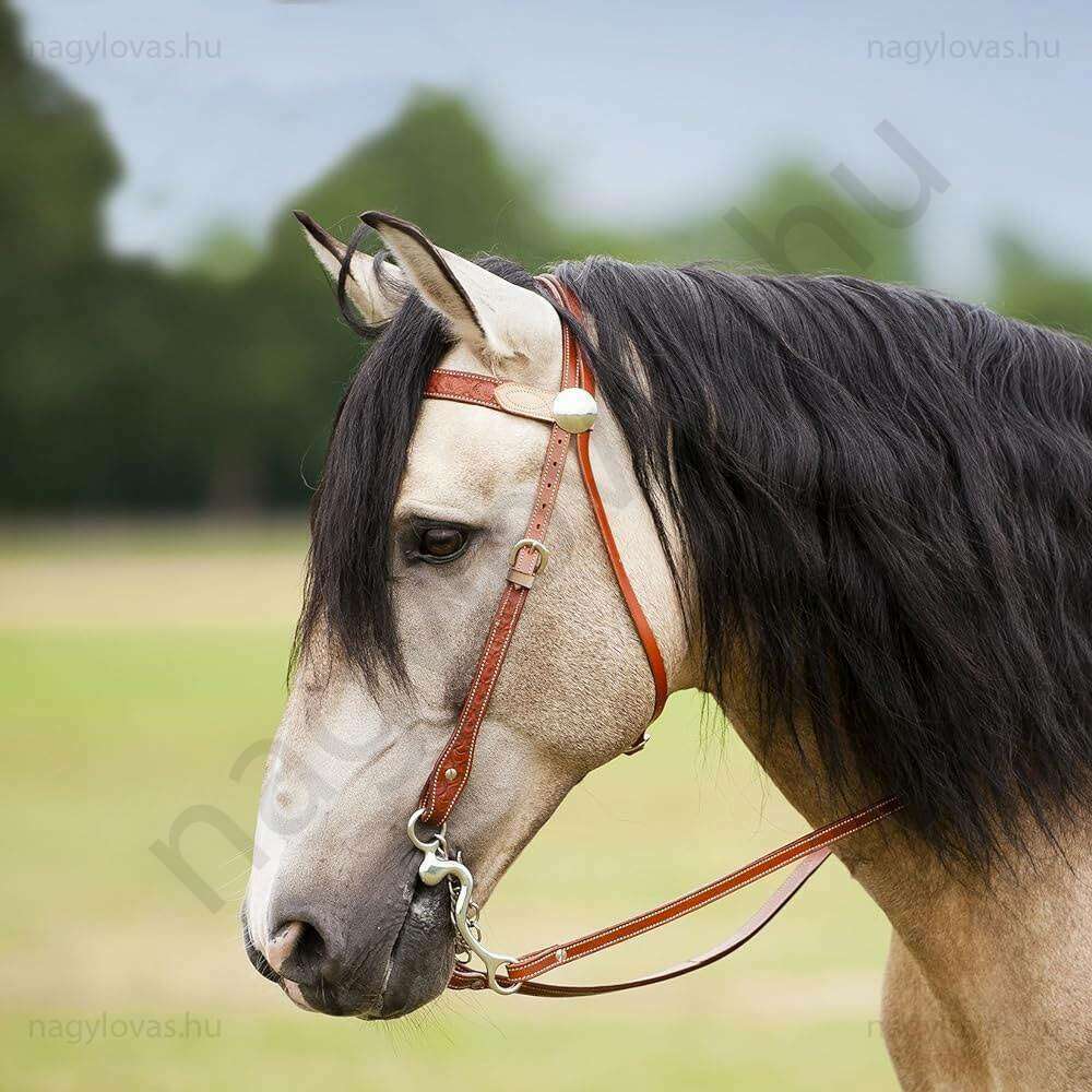 Westride western kantár szárral barna