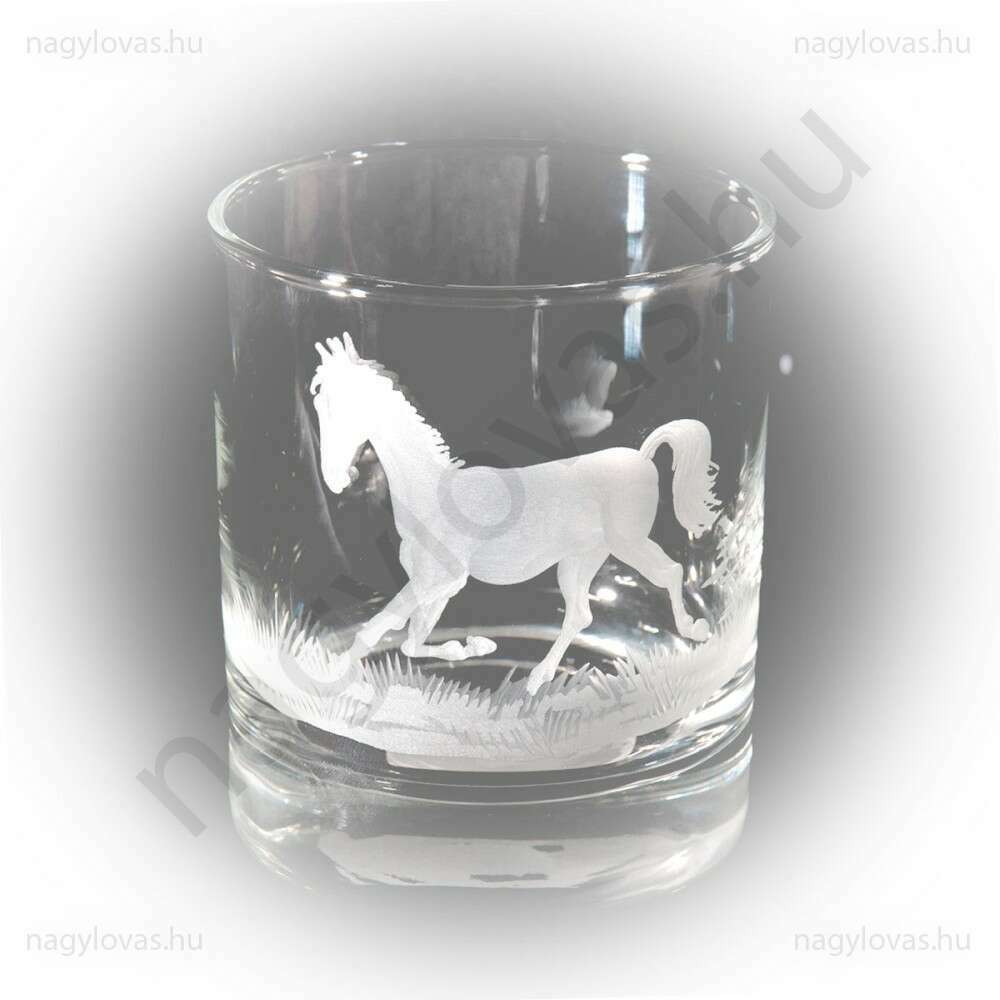 Whiskys csiszolt pohár 6db/szett