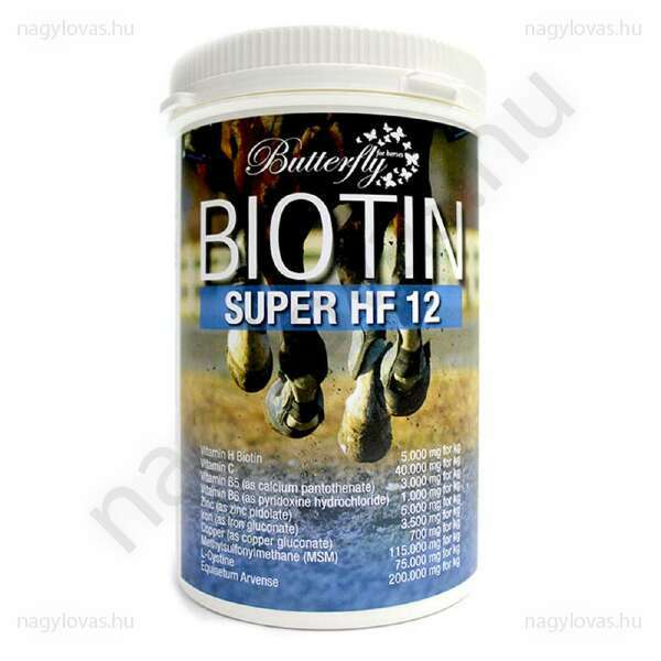 Biotin Super HF12 1kg