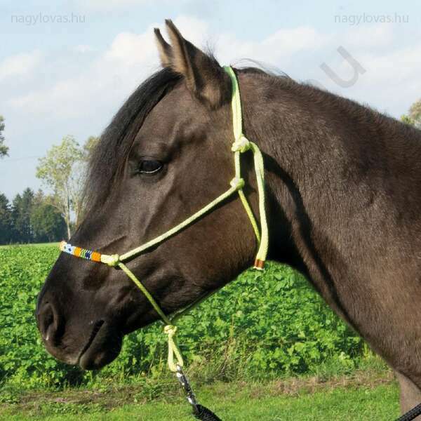 Busse Beads kötél kötőfék lime