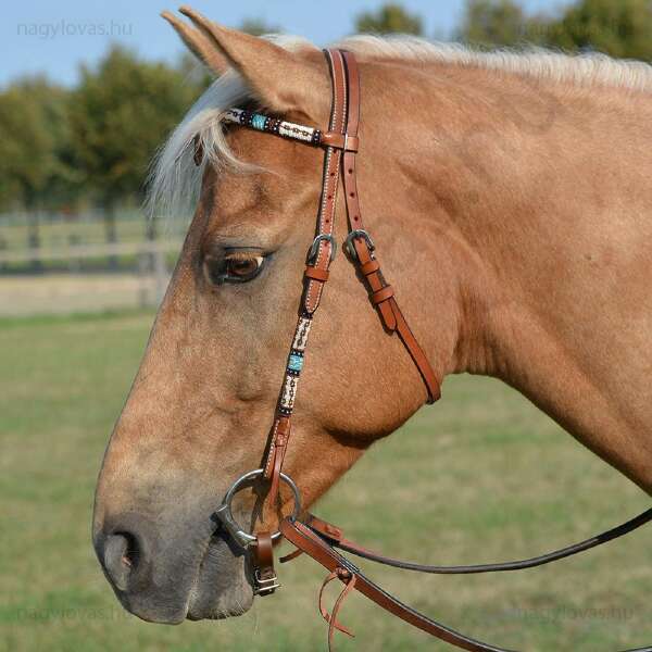 Busse Dakota western kantár
