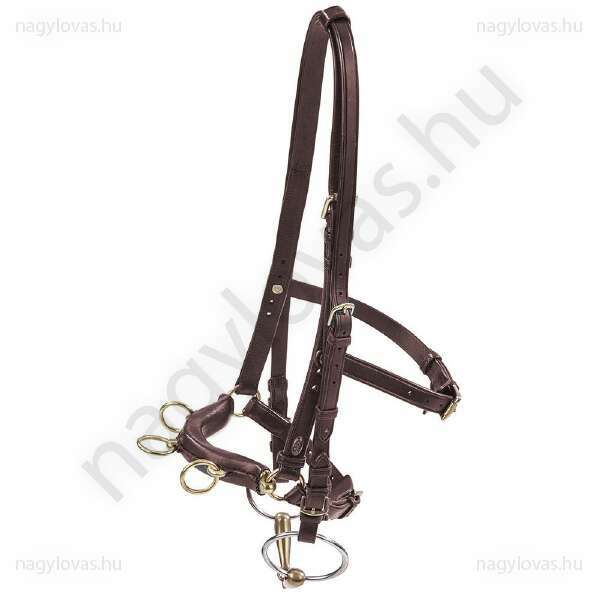 Busse Professional barna kapicán