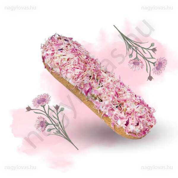 CandyHorse pink cornflower isler jutalomfalat