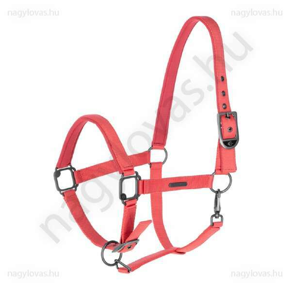 Covalliero F/S 2025 bélelt kötőfék coral