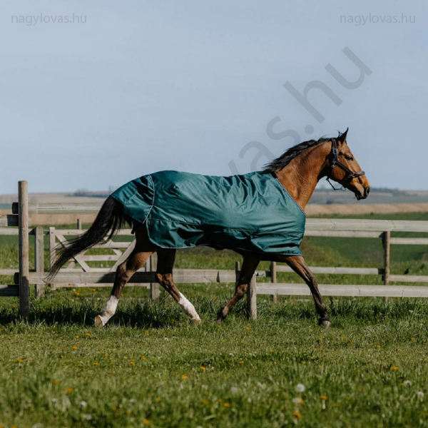 Equithéme Tyrex Standard lótakaró 600D/150gr zöld
