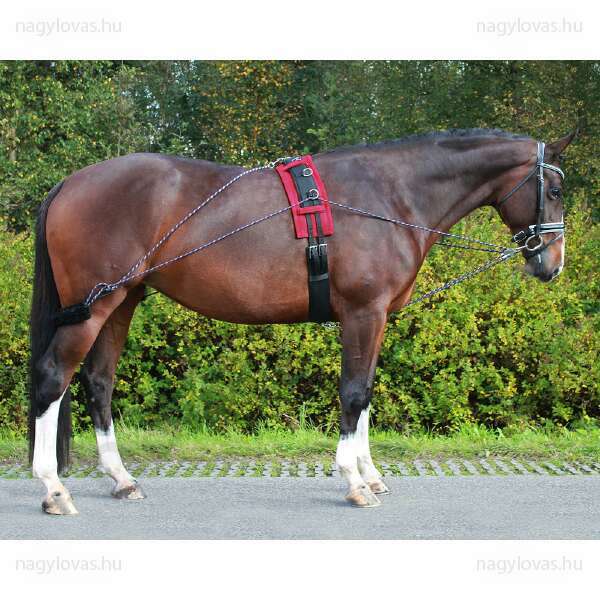 Futószárazó Training System