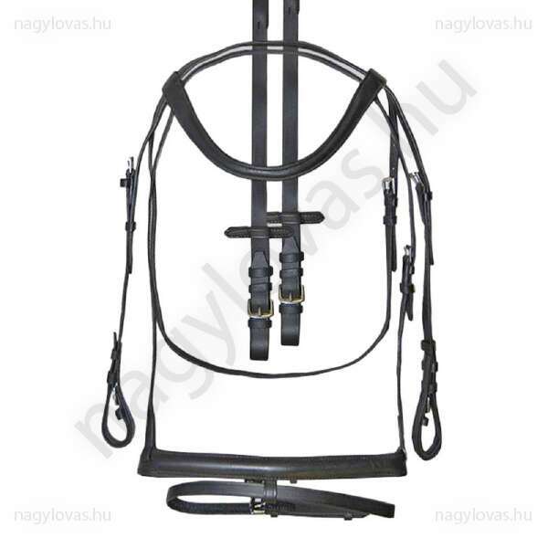 Kantár szárral együtt 