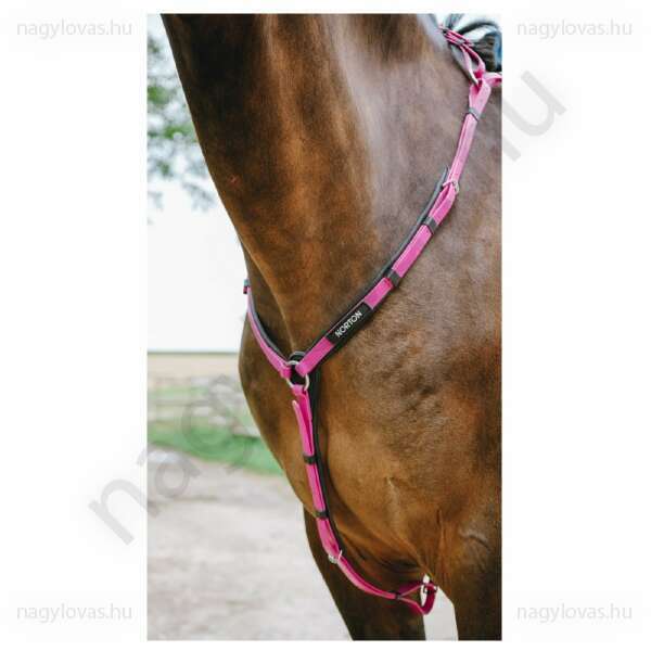 Norton műanyag szügyelő martingállal pink