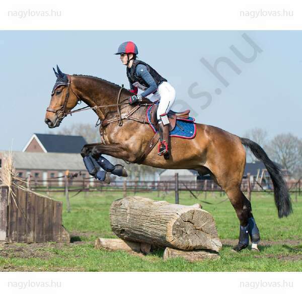 QHP Eventing hátsó ínvédő navy