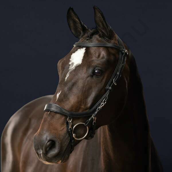 QHP FaySport anatómiai kantár fekete Full