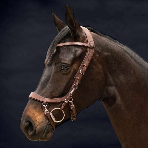 QHP  FaySport kantár barna XFull