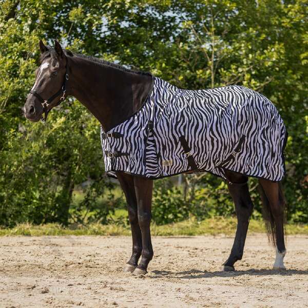 QHP légytakaró zebra 145 cm