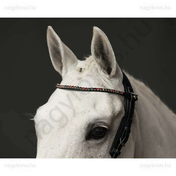 QHP ShineBright  homlokszíj fekete/burgundi XFull