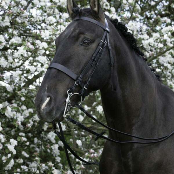 Riding World nagykantár fekete
