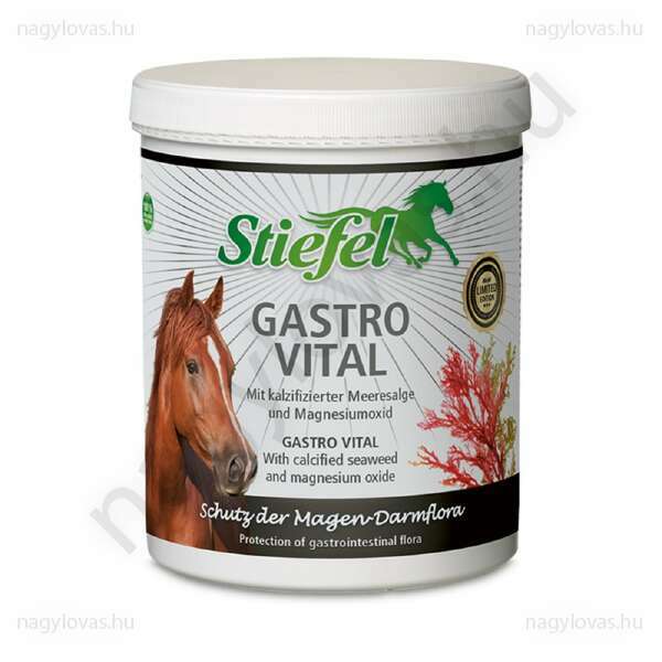 Stiefel Gastro Vital 1kg